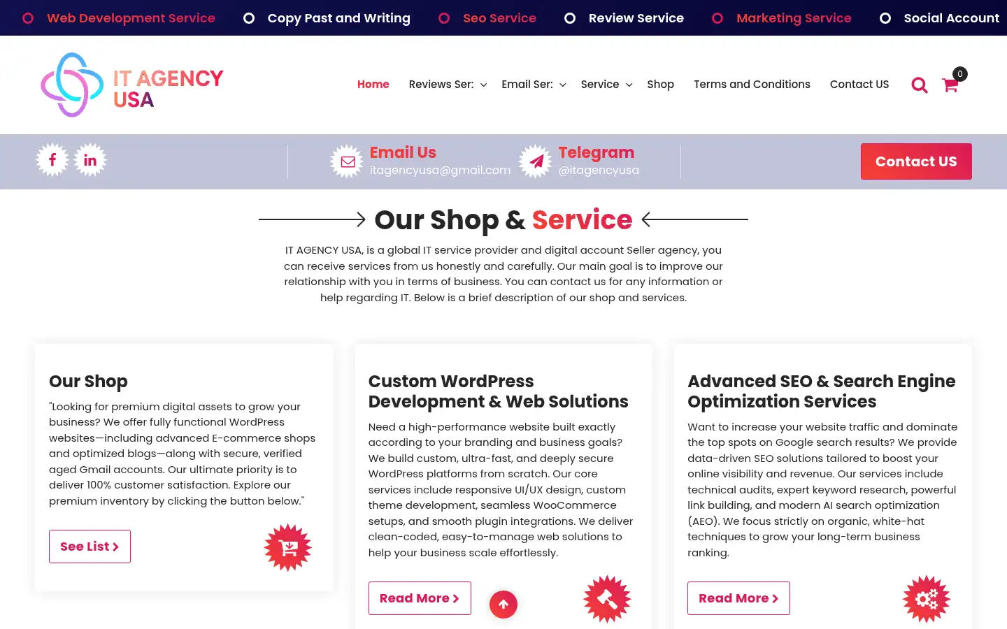 Screenshot of itagencyusa.com