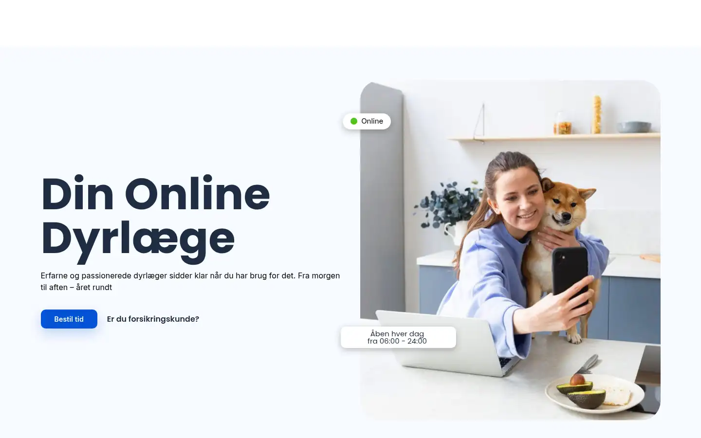Screenshot of ivet.dk