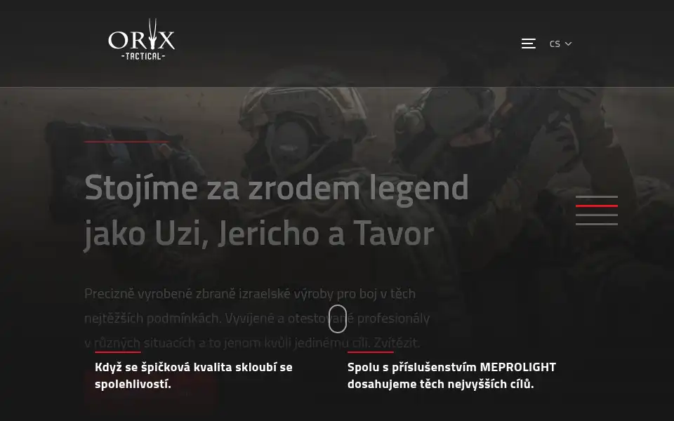 Screenshot of iwi.cz