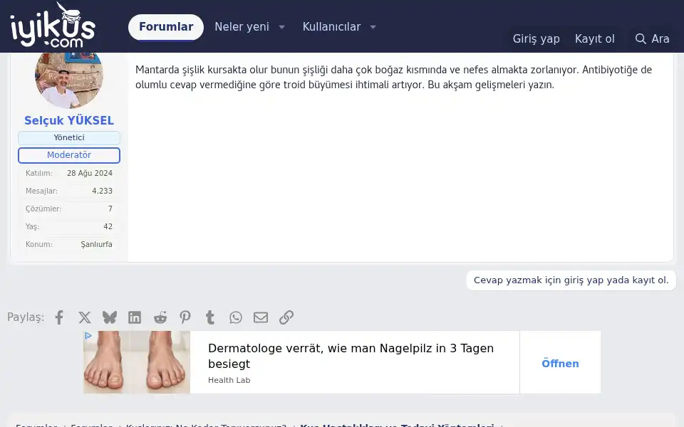Screenshot of iyikus.com