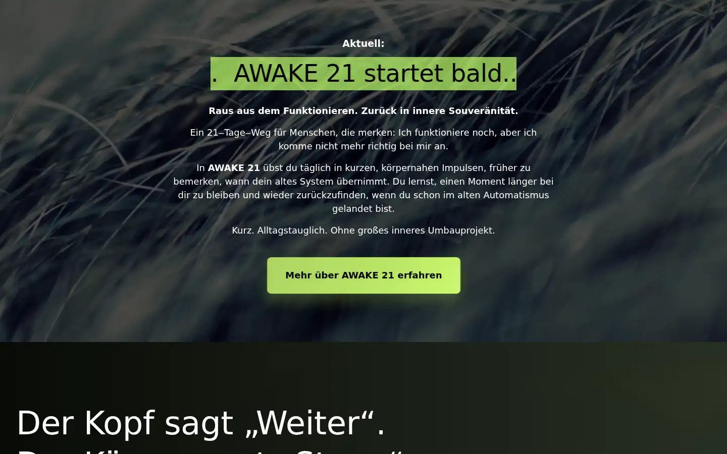 Screenshot of jan-von-wille.de