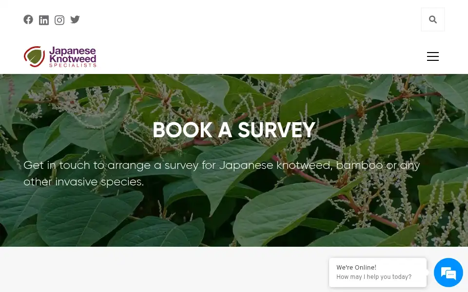 Screenshot of japaneseknotweedspecialists.com