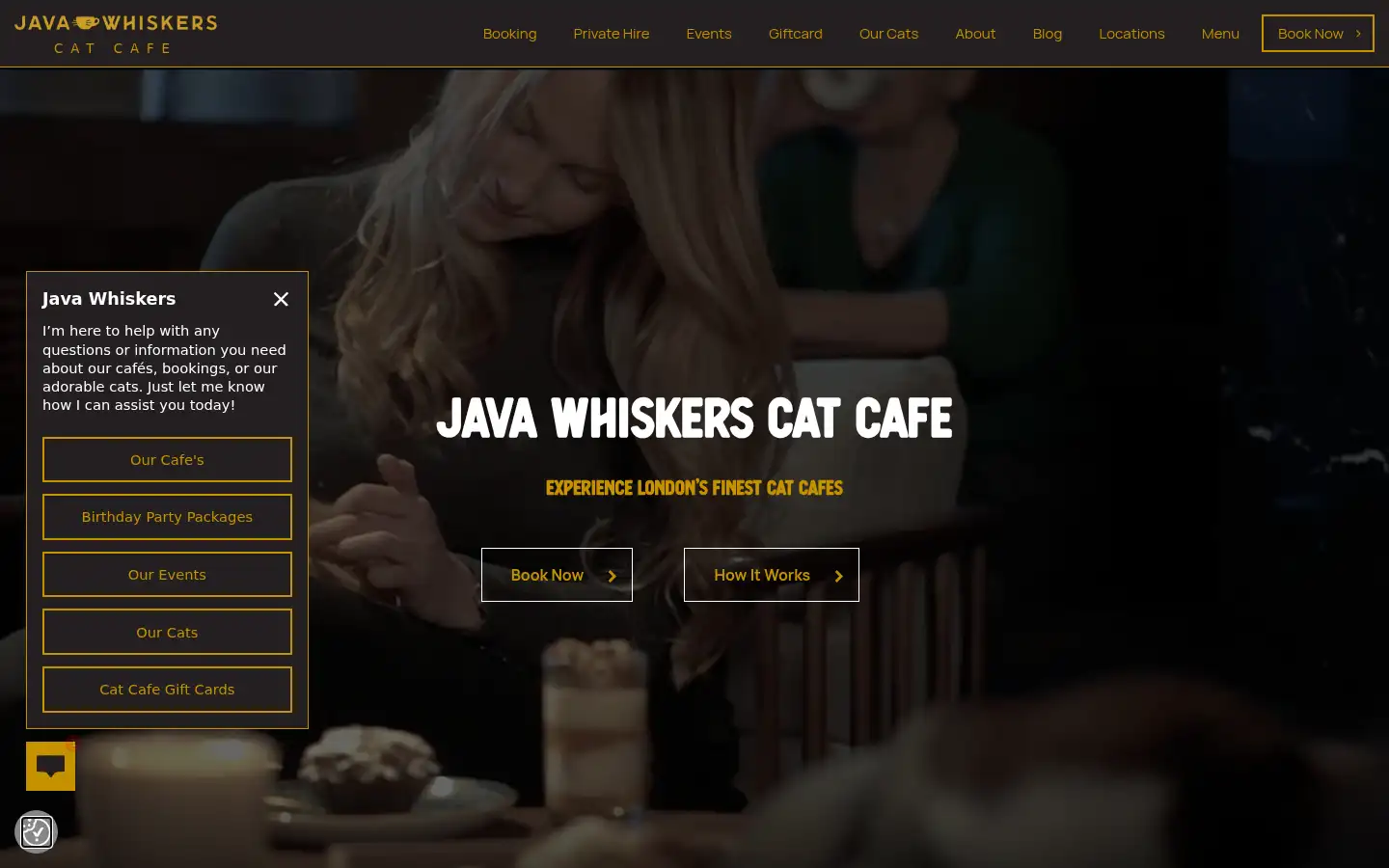 Screenshot of javawhiskers.co.uk