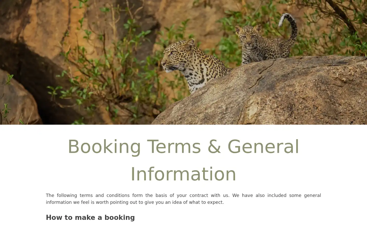 Screenshot of jecisafaris.com