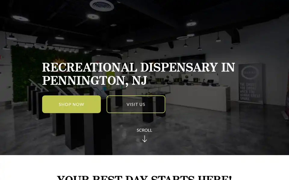 Screenshot of jerseymeds.com