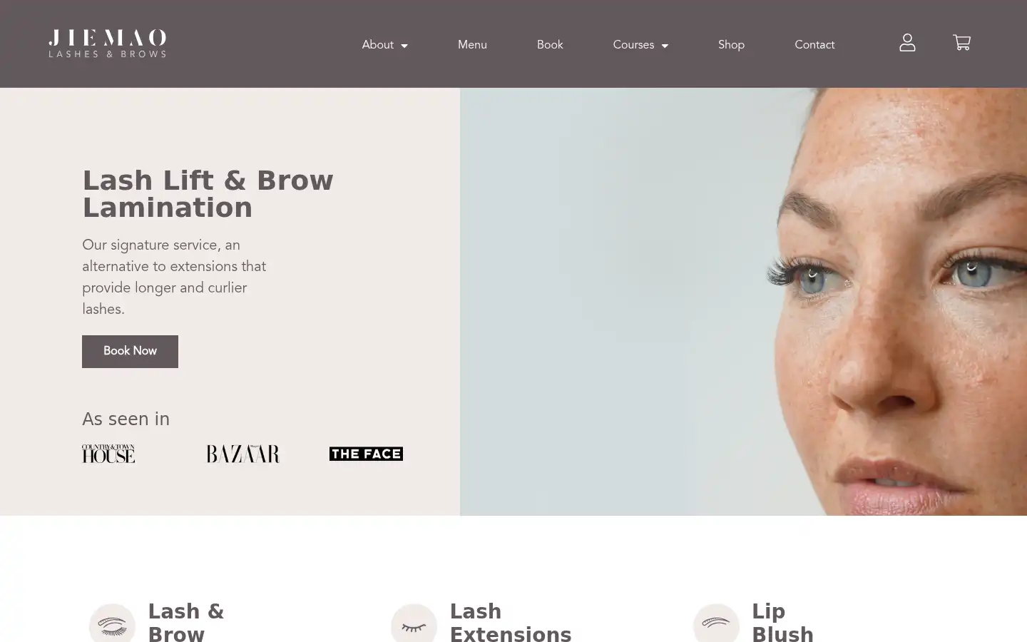 Screenshot of jiemaolashes.com
