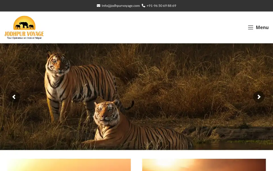 Screenshot of jodhpurvoyage.com