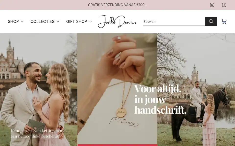Screenshot of joelledenice.nl