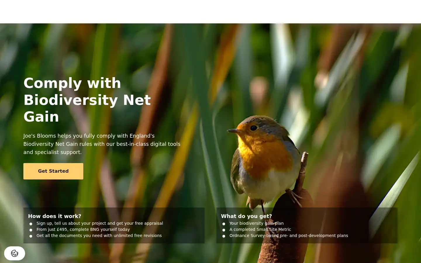 Screenshot of joesblooms.com