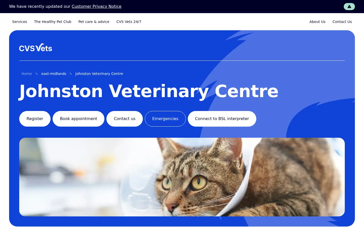 Screenshot of johnstonvets.co.uk