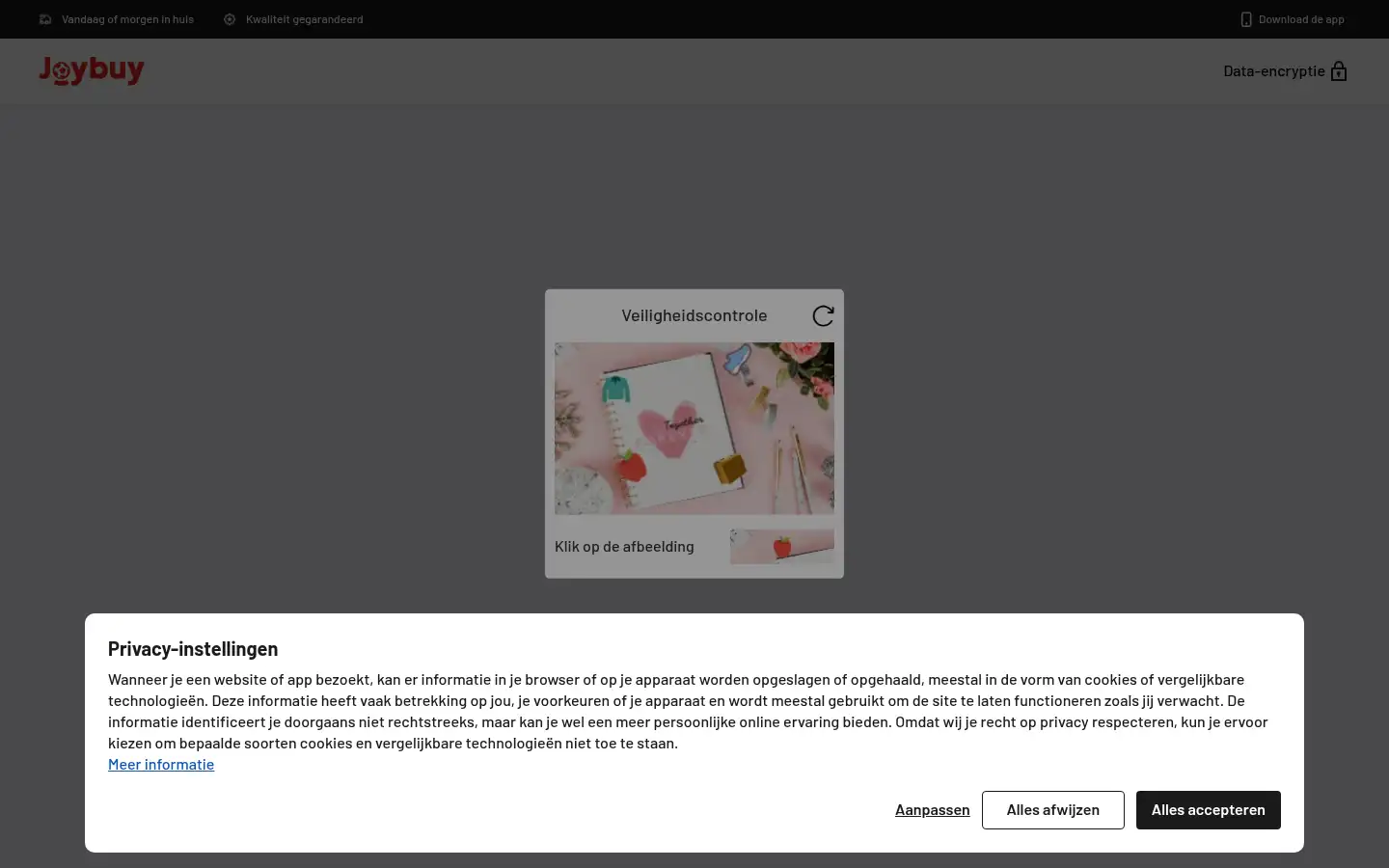Screenshot of joybuy.nl