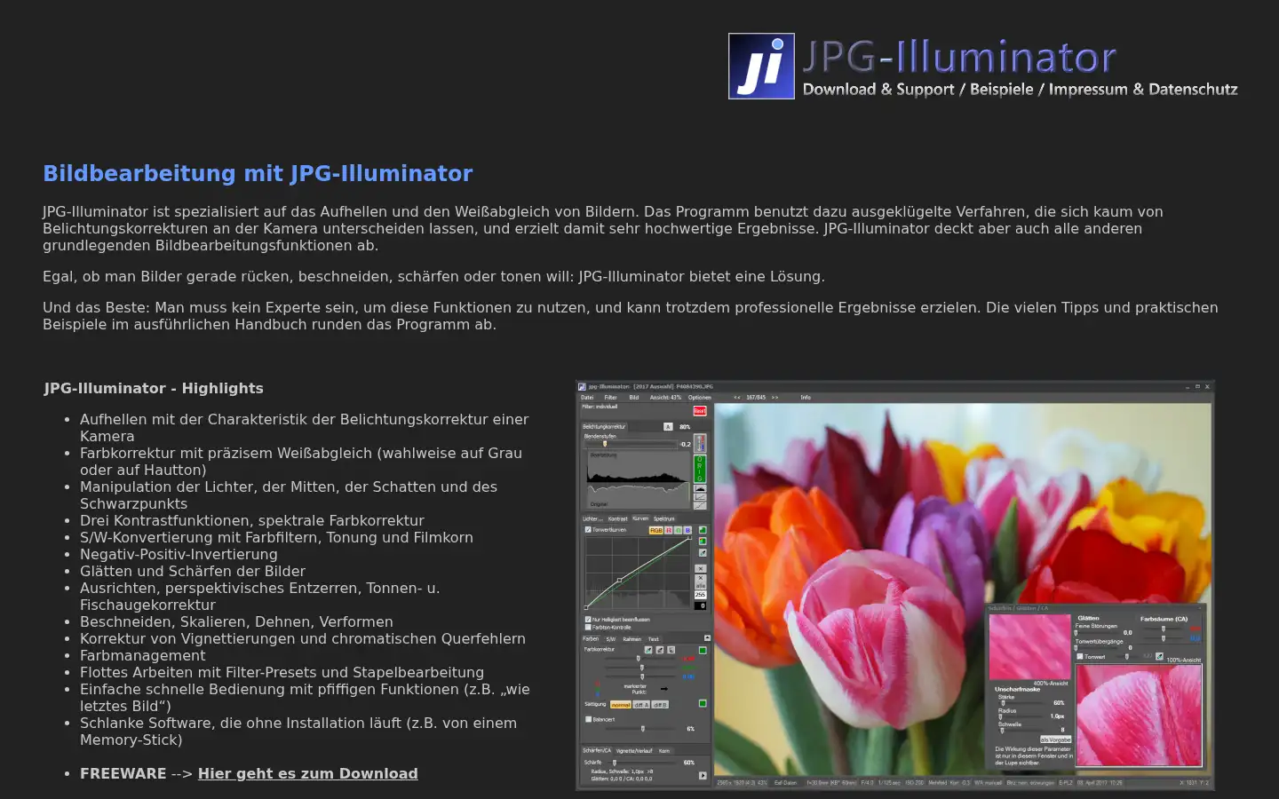 Screenshot of jpg-illuminator.de