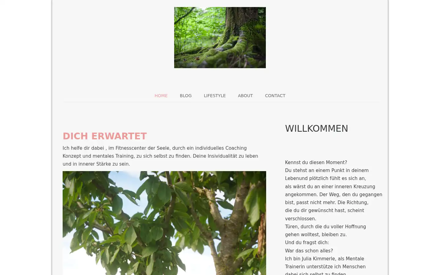 Screenshot of juliakimmerle.jimdofree.com