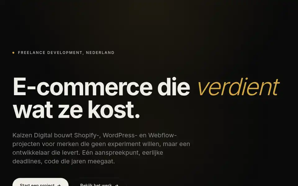 Screenshot of kaizendigital.nl
