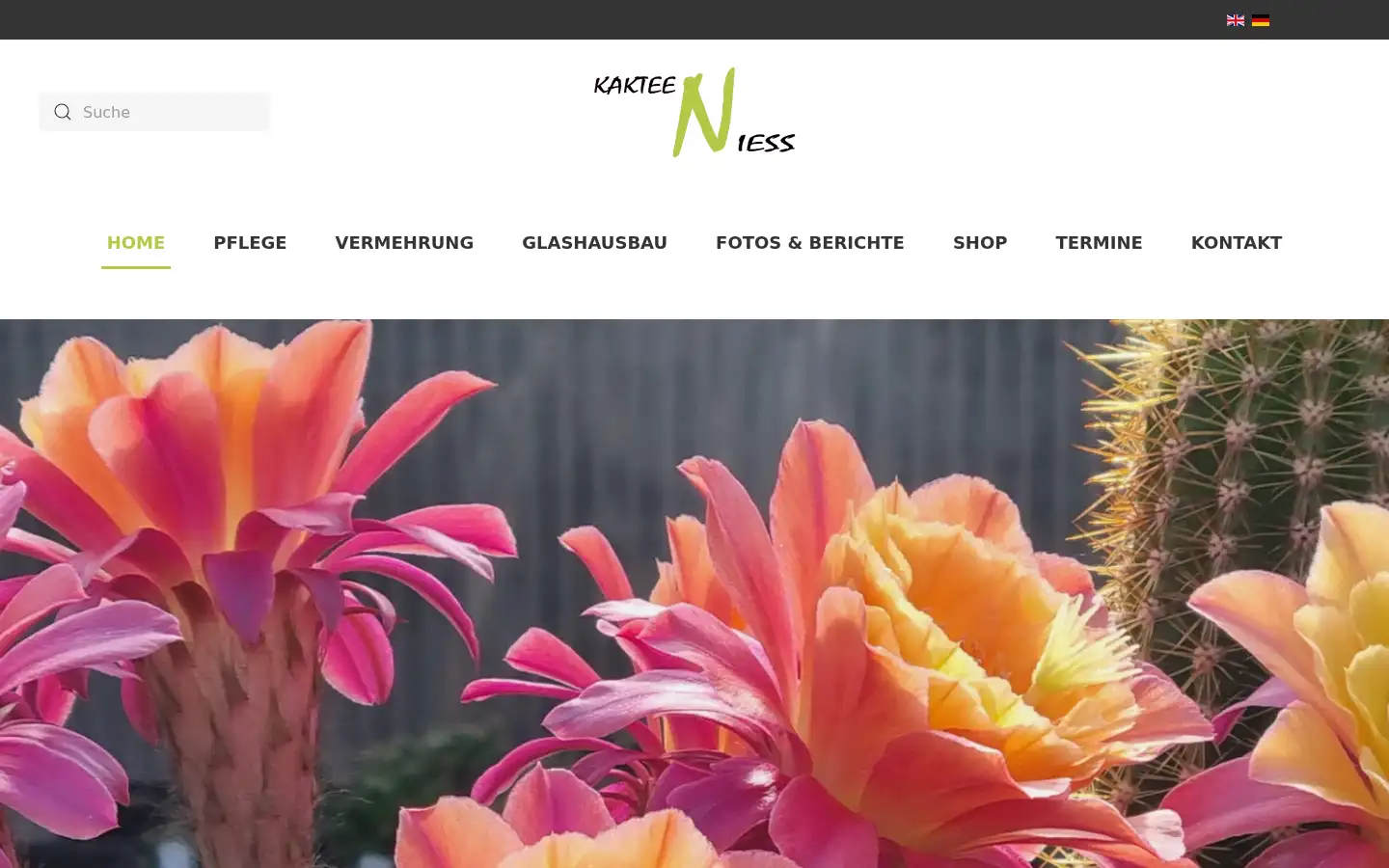 Screenshot of kakteen-niess.at