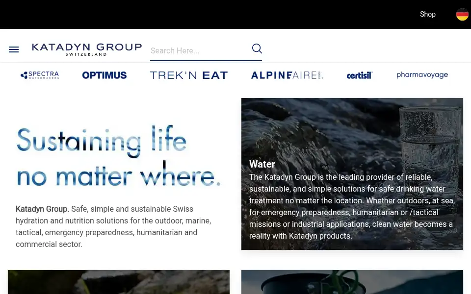 Screenshot of katadyngroup.com