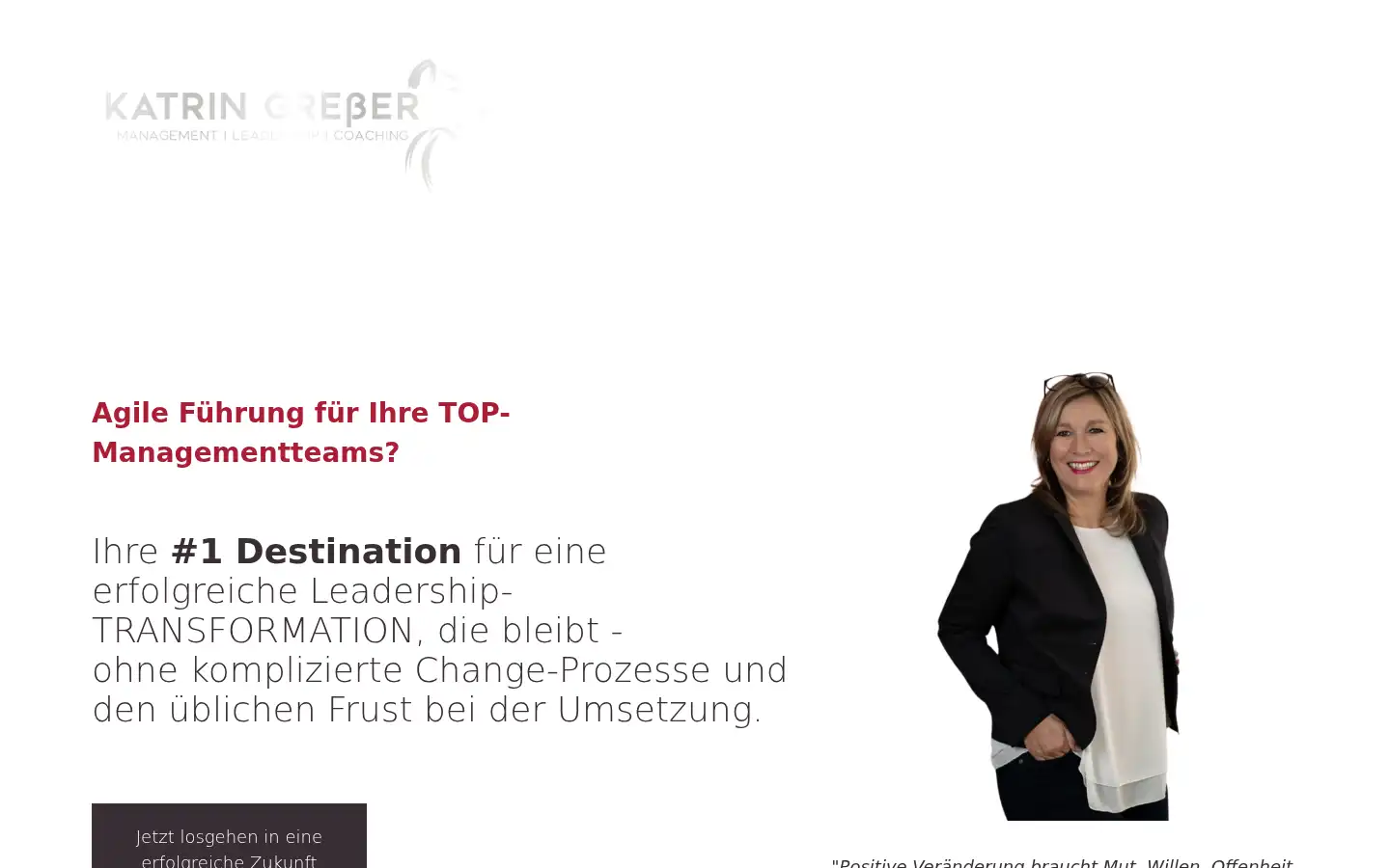 Screenshot of katringresser.de