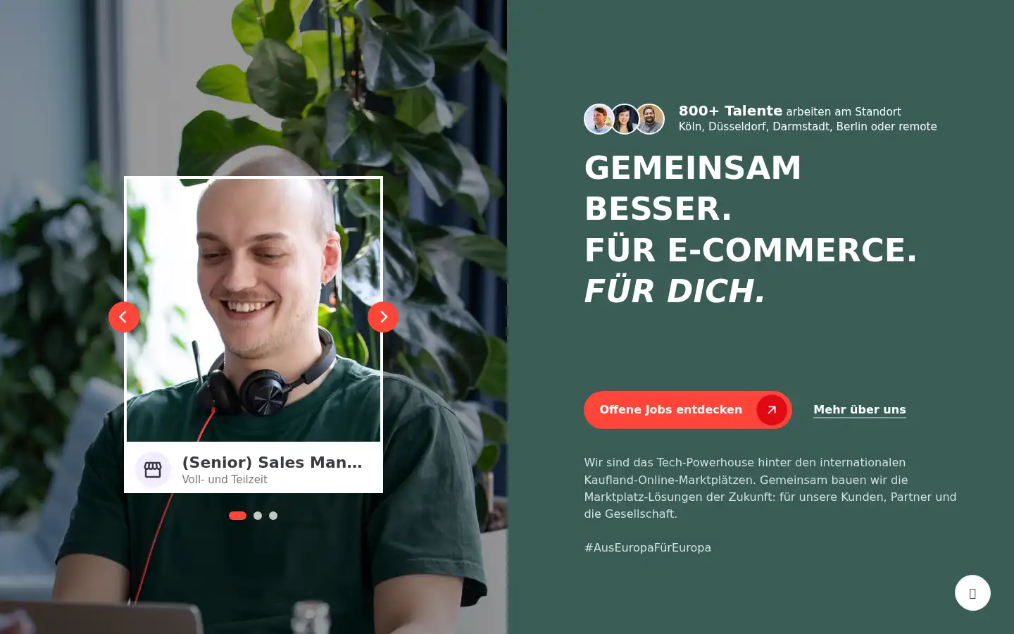 Screenshot of kaufland-ecommerce.com