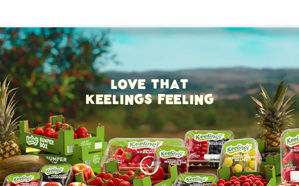 Screenshot of keelings.ie