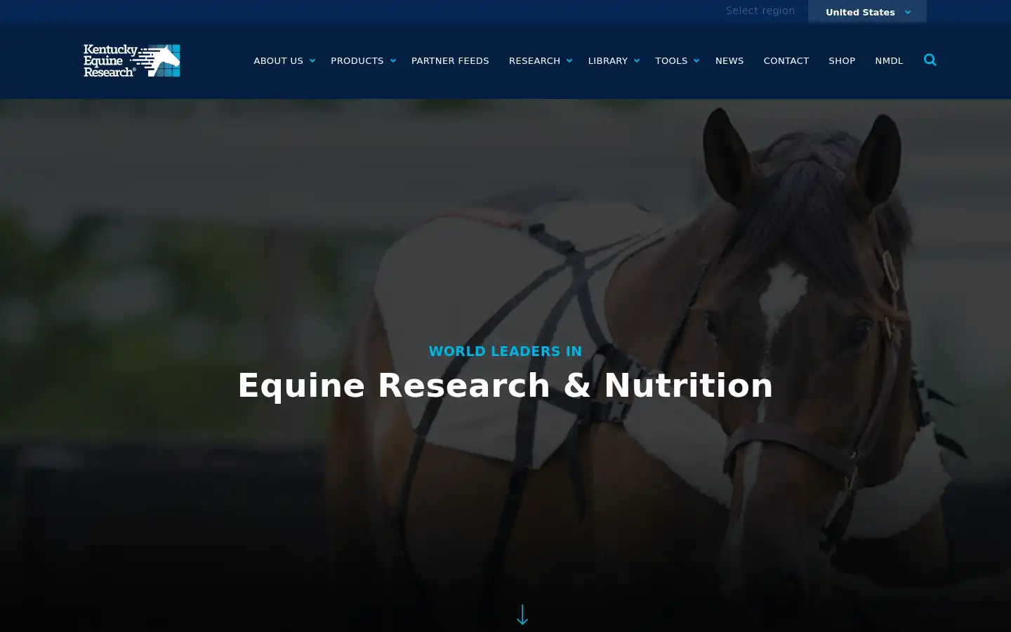 Screenshot of ker.com