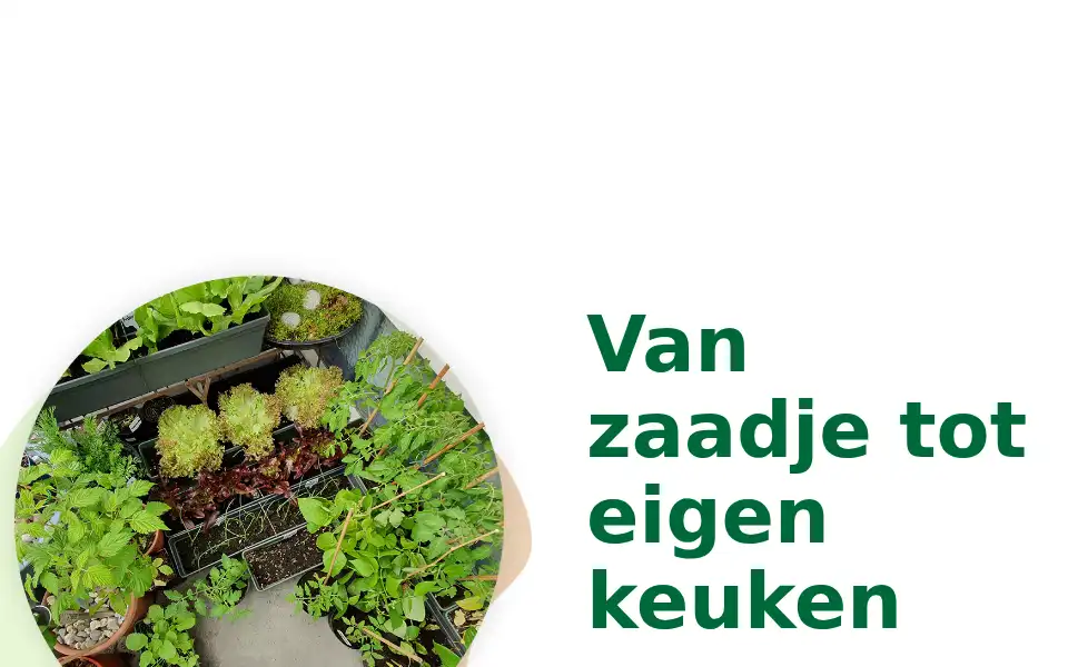 Screenshot of keukenplanten.nl