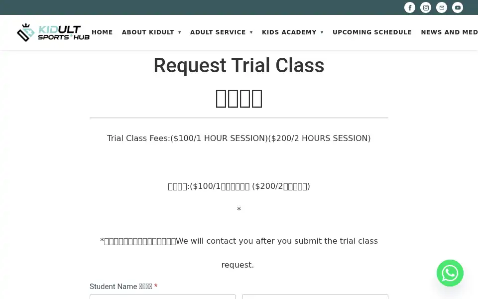 Screenshot of kidultsports.com