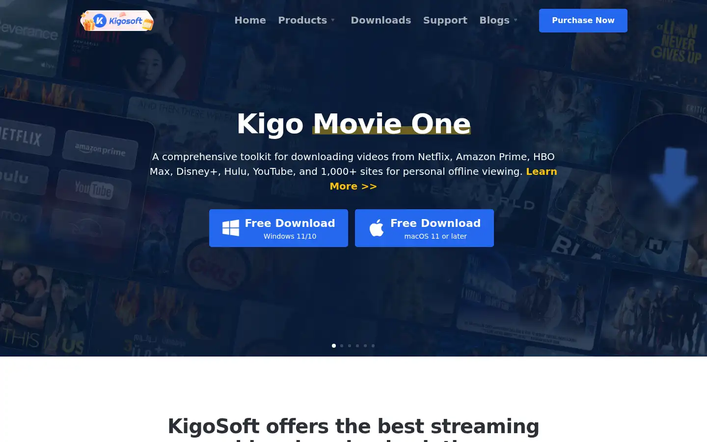 Screenshot of kigo-video-converter.com