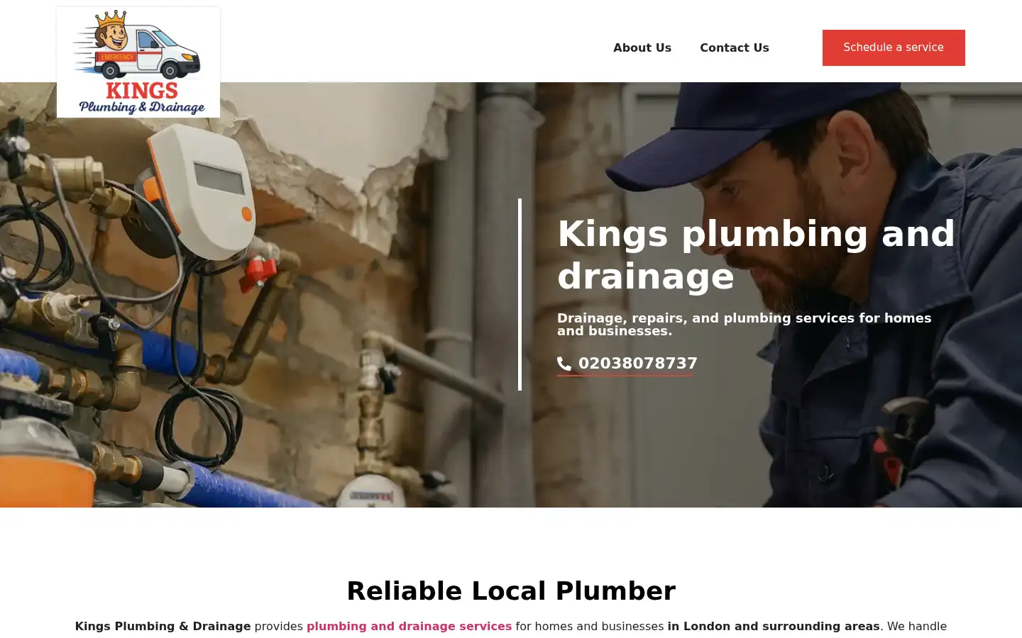 Screenshot of kingsplumbingand-drainage.co.uk