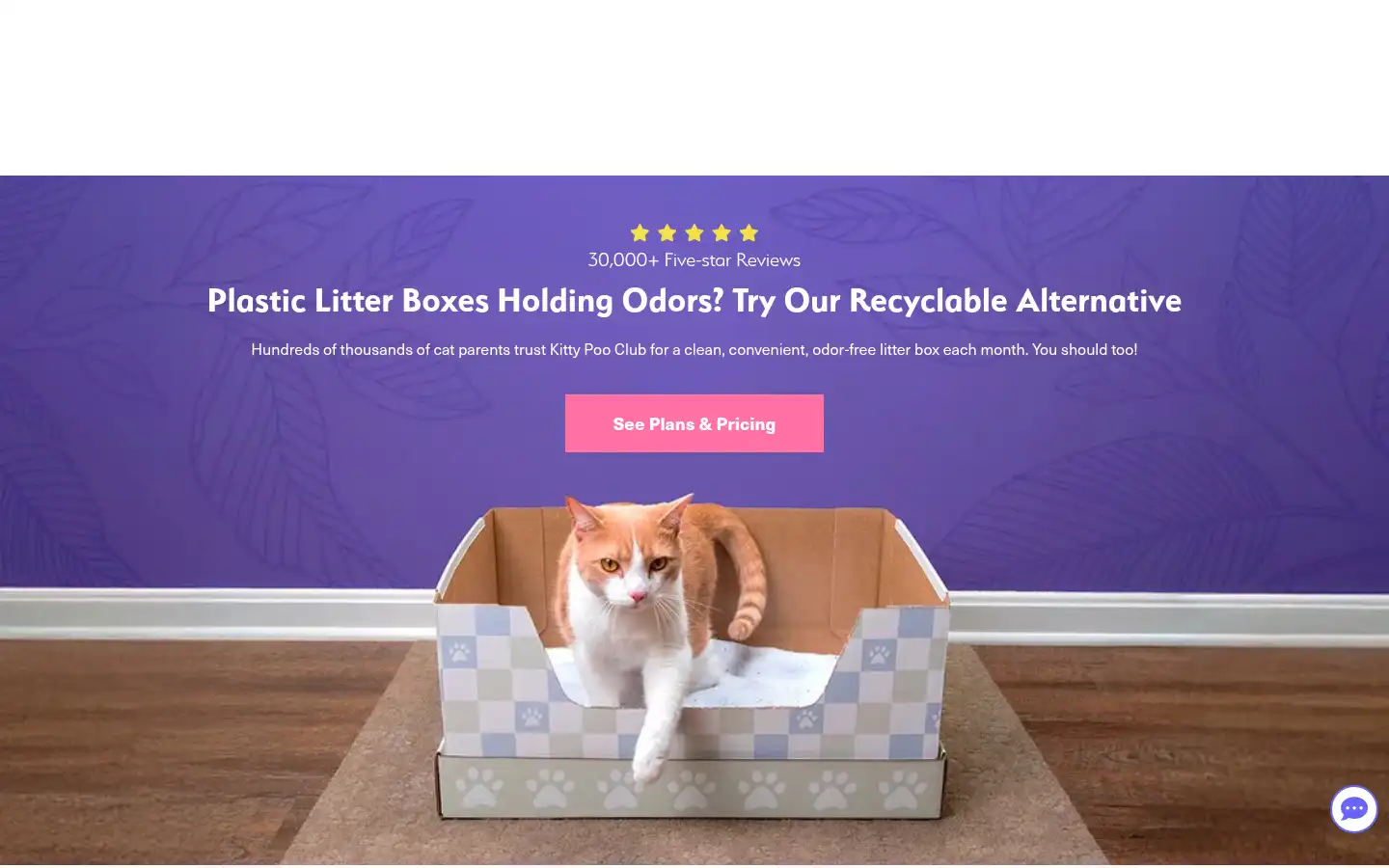 Screenshot of kittypooclub.com