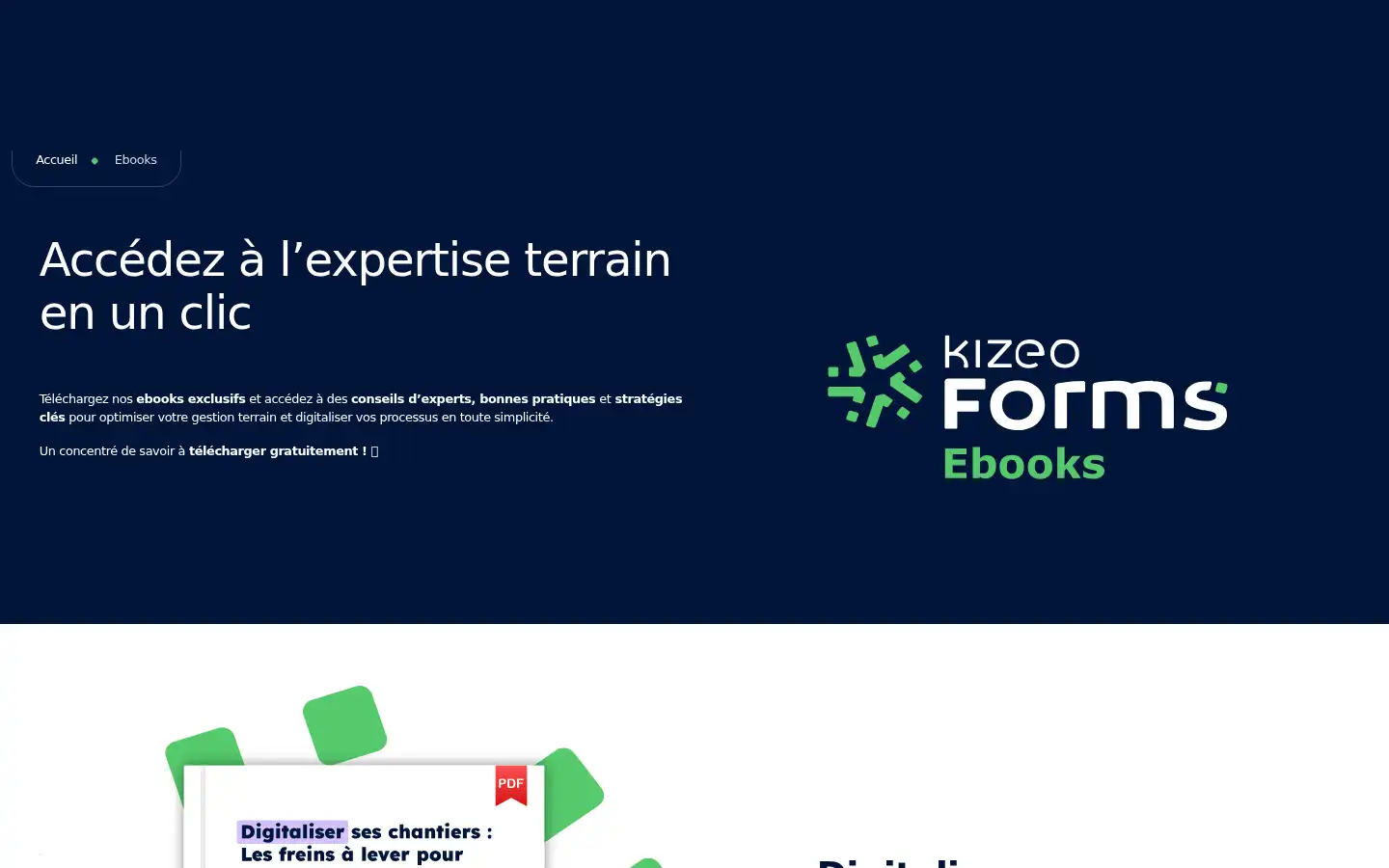 Screenshot of kizeo-forms.com