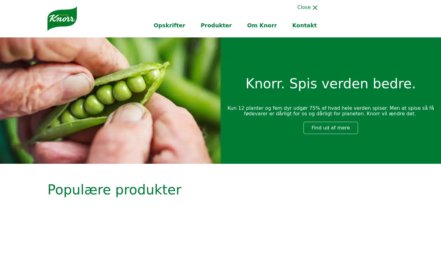 Screenshot of knorr.dk