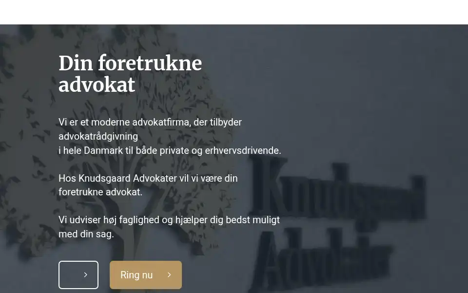 Screenshot of knudsgaardadvokater.dk