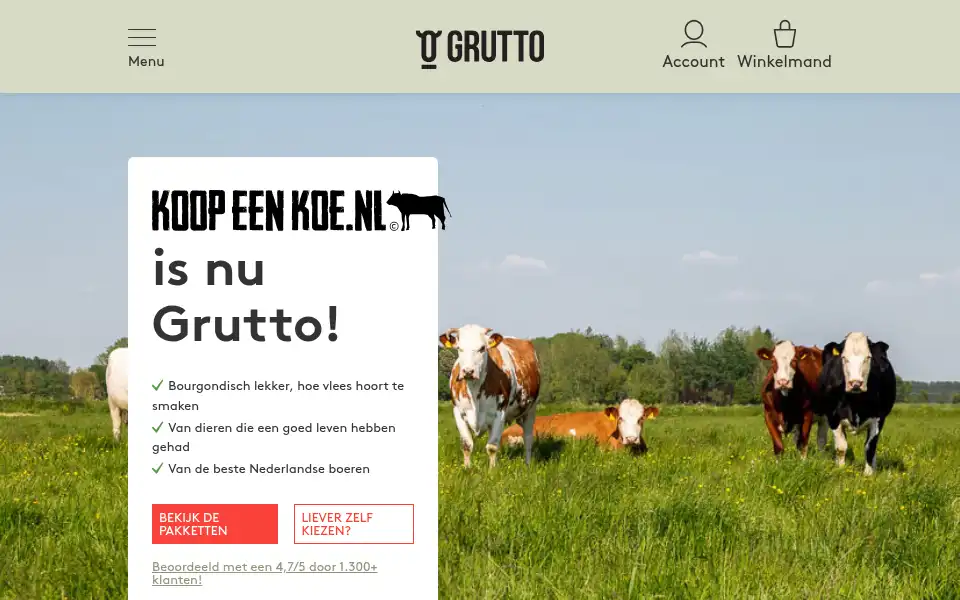 Screenshot of koopeenkoe.nl