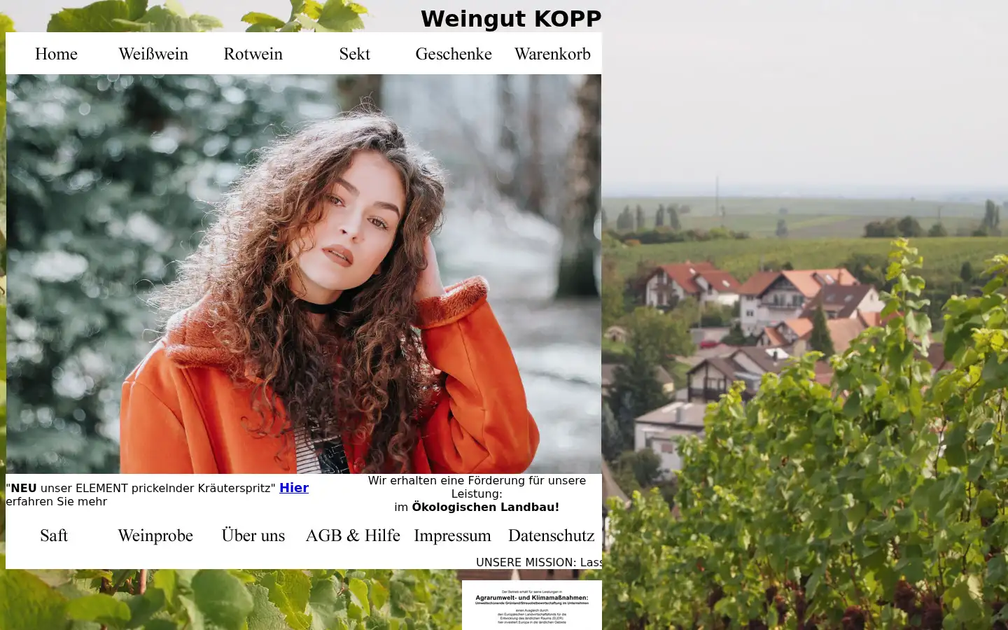 Screenshot of kopp-wein.de
