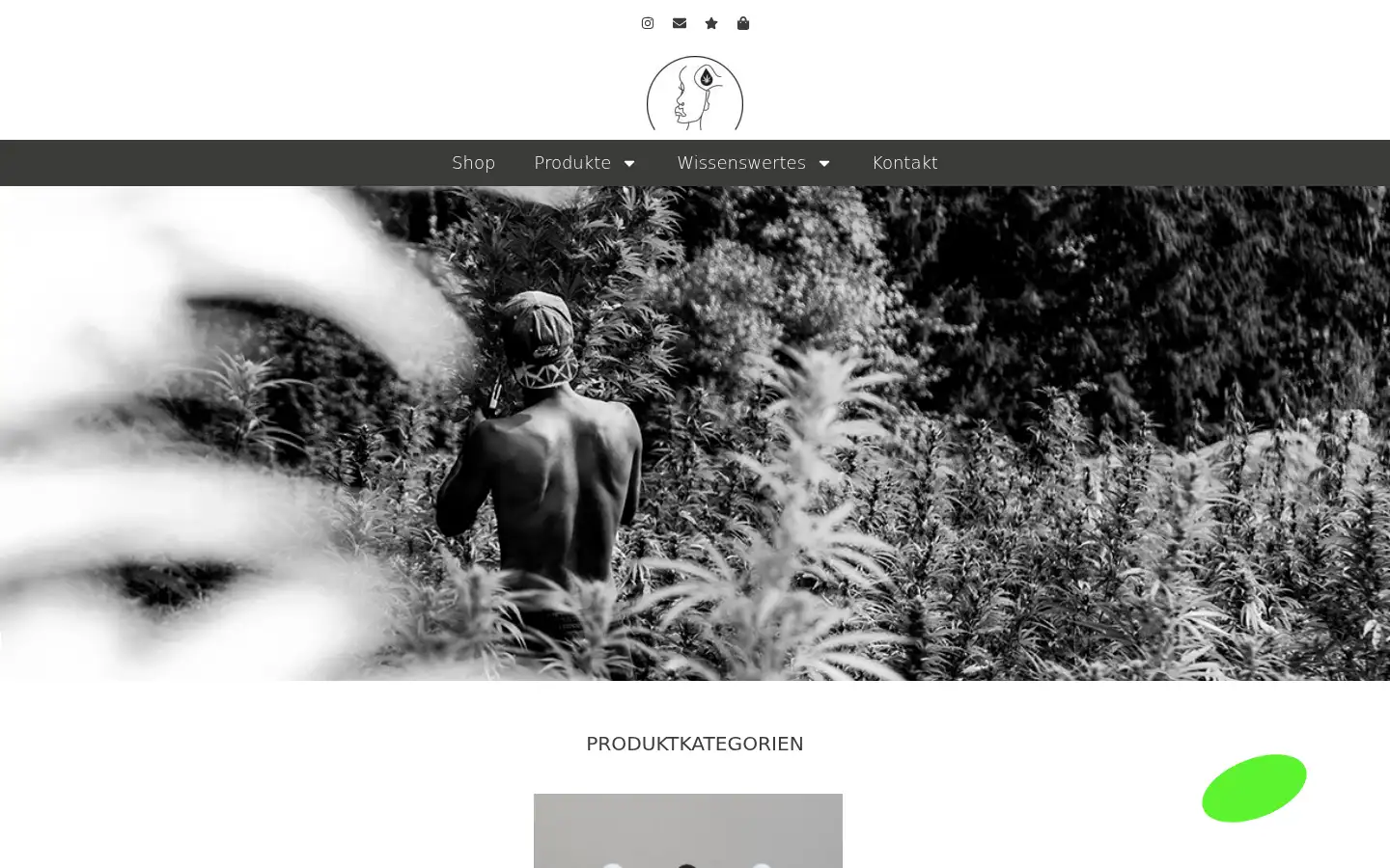 Screenshot of krautmanufaktur.at