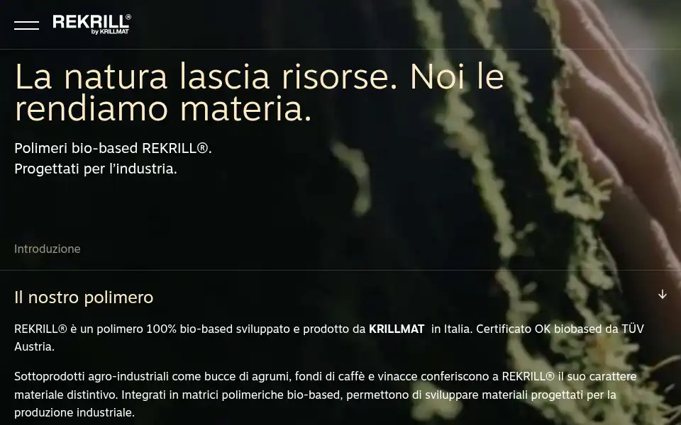 Screenshot of krilldesign.net