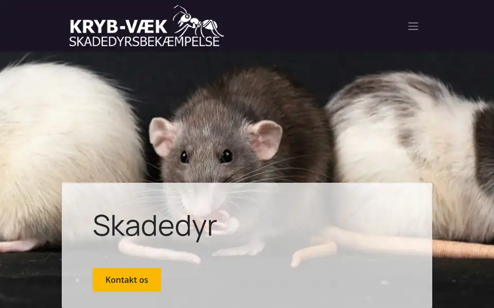 Screenshot of kryb-vaek.dk