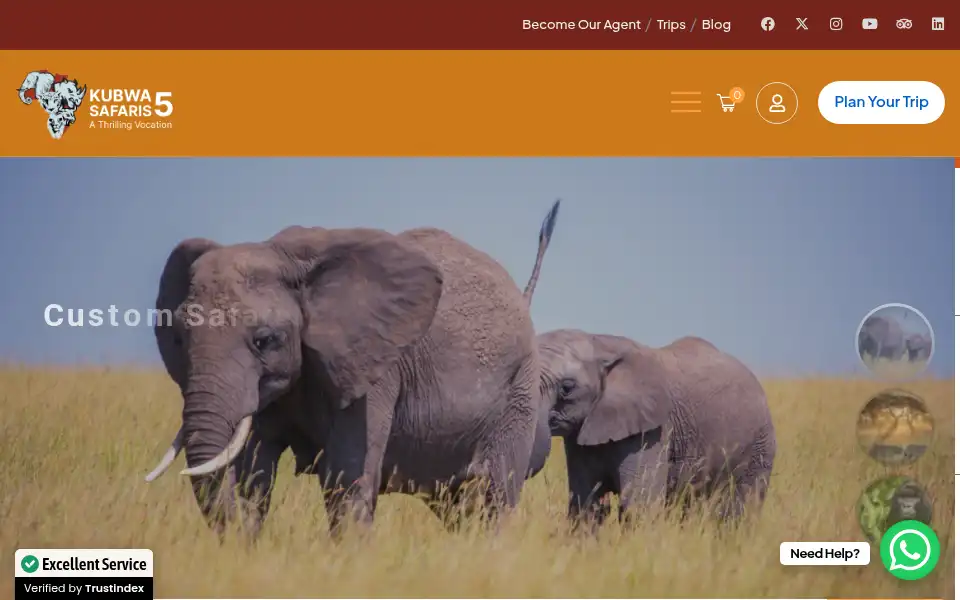 Screenshot of kubwafive-safaris.com