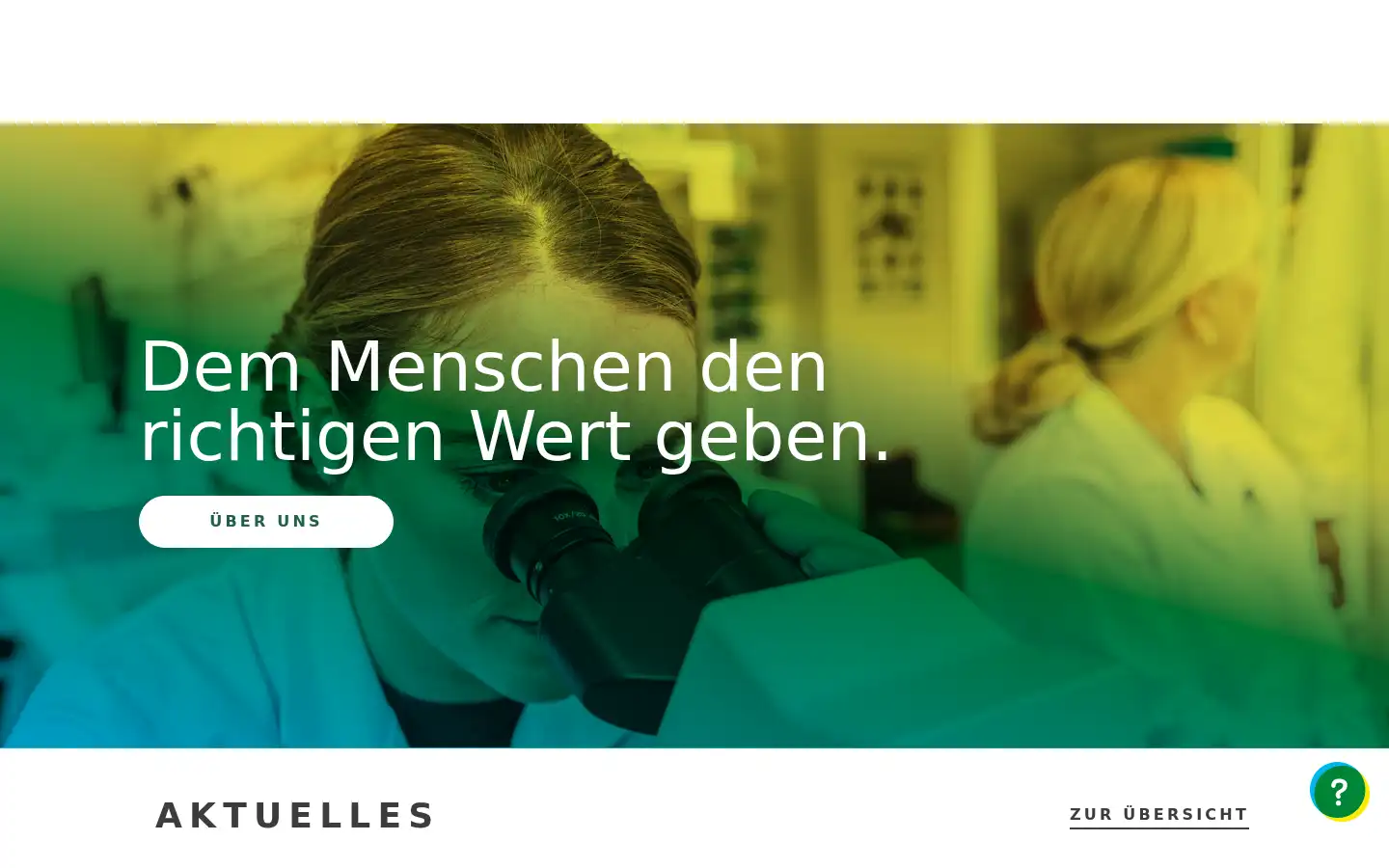 Screenshot of labors.at