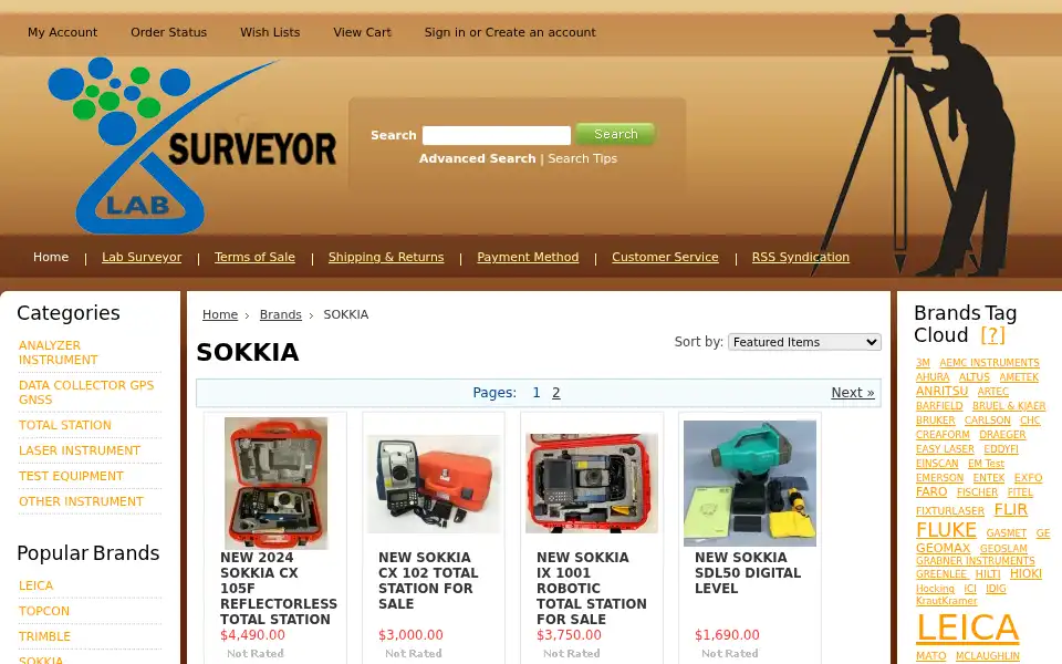 Screenshot of labsurveyor.com