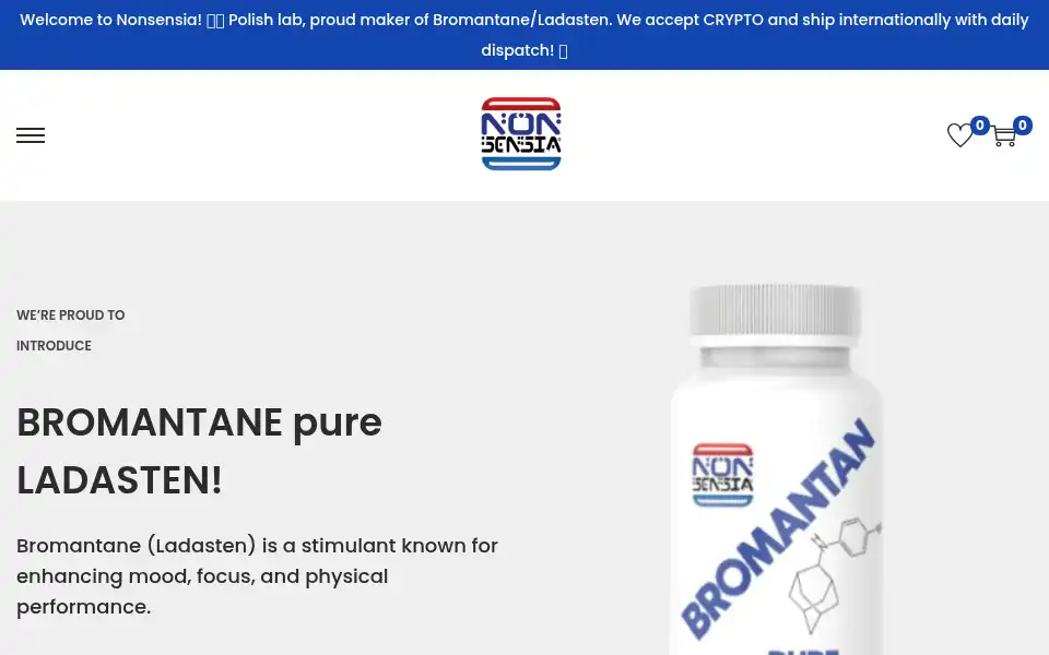 Screenshot of ladasten.com