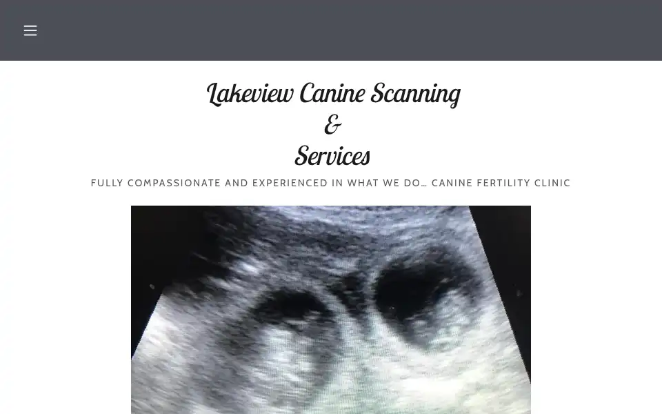 Screenshot of lakeviewcaninescanningservices.com