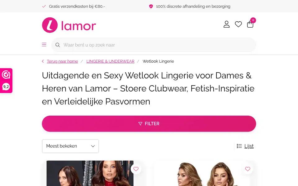 Screenshot of lamor.nl