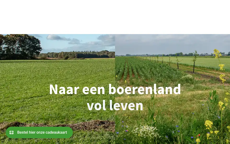 Screenshot of landvanons.nl