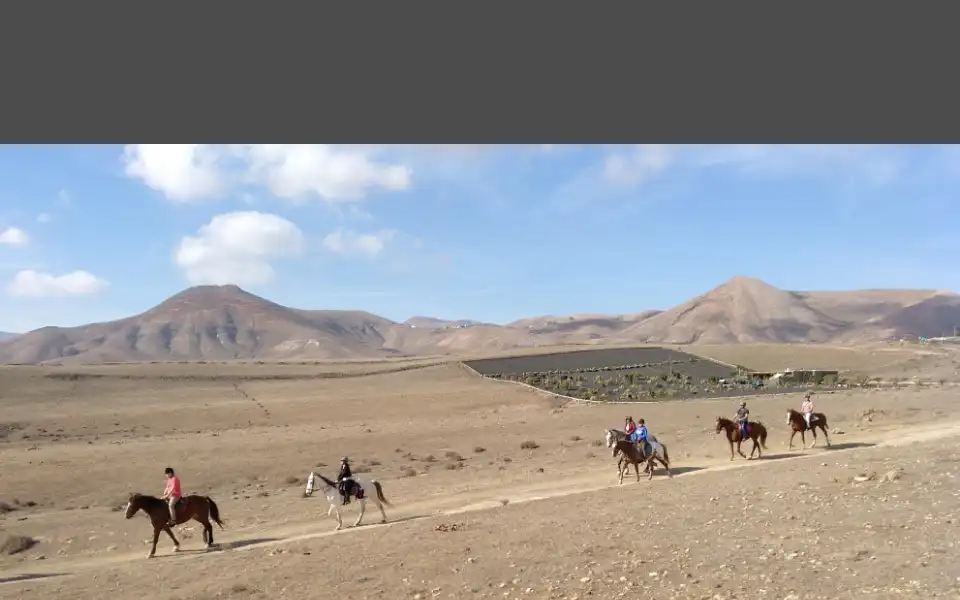 Screenshot of lanzaroteacaballo.com