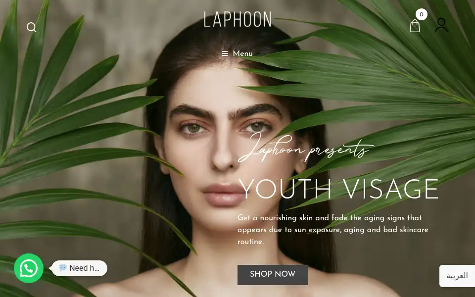 Screenshot of laphoon.com