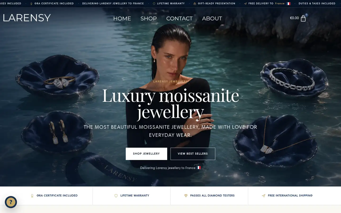 Screenshot of larensy.com