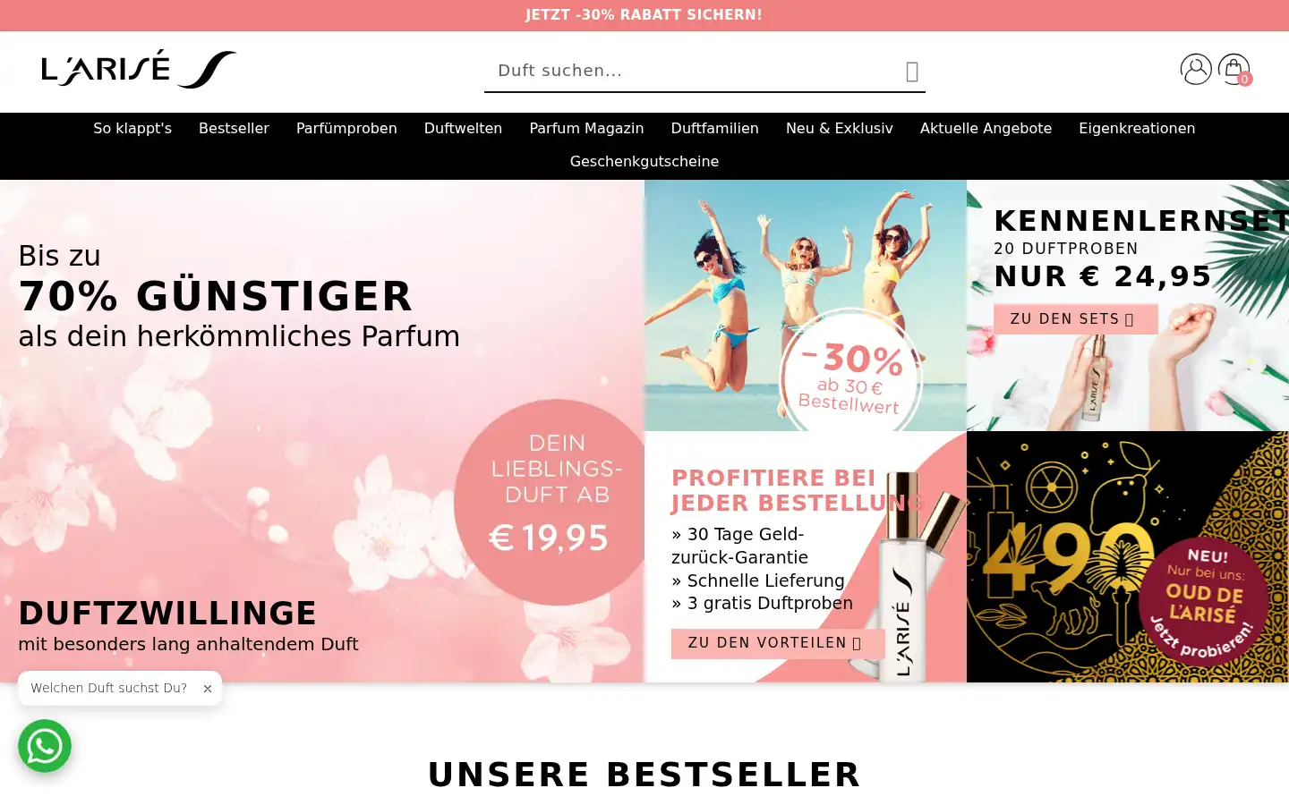 Screenshot of larise.com