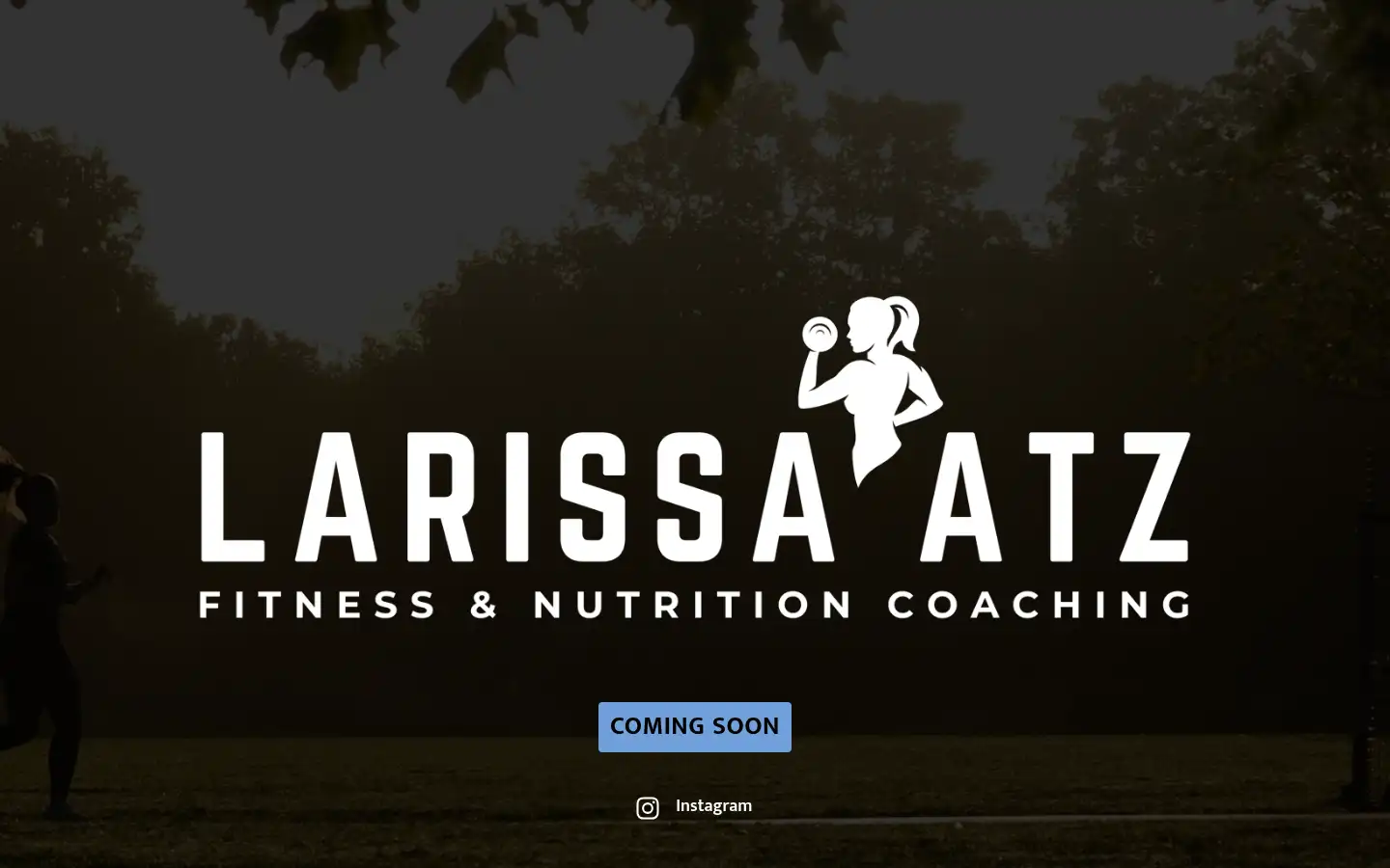 Screenshot of larissa-atz.ch