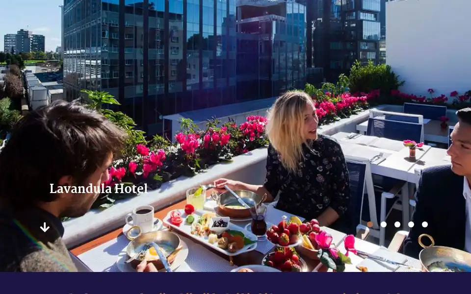Screenshot of lavandulahotel.com